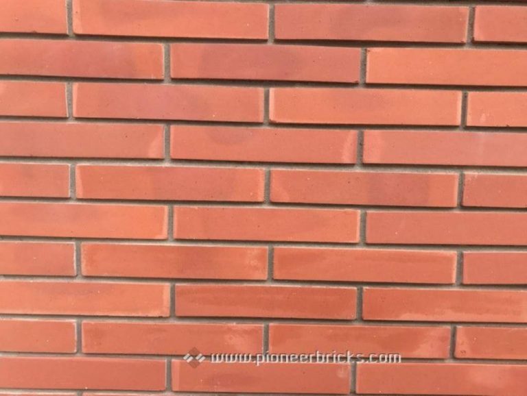 Indian Brick Industry | Machine Moulded Bricks | Roof Tiles India